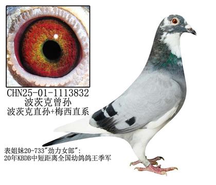 ĿO-2