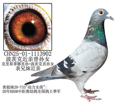 Ŀ˽HOŮ-5