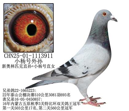 WС̖O-7