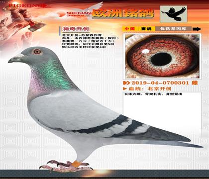 8-ɽԺ(ni)+_(ki)(chung)f(wn)Ԫرȅِ