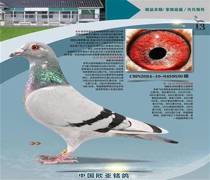 XRѪy(tng)60019X520܊