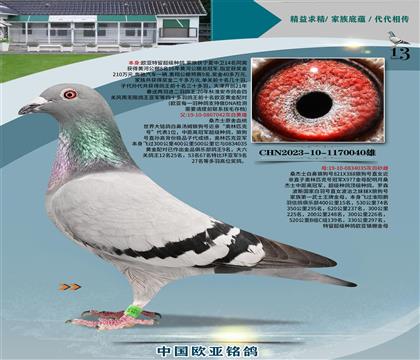 ɣʿױǜķǹ̖(ho)HXW(zhn)ĸ035