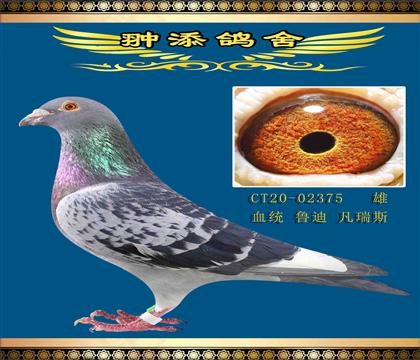 ˽h(hun)ǲˡ375ѽ(jng)ɿ