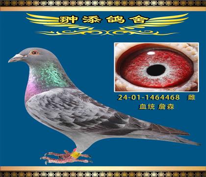 ղɭ(zhn)oh(hun)ķ468