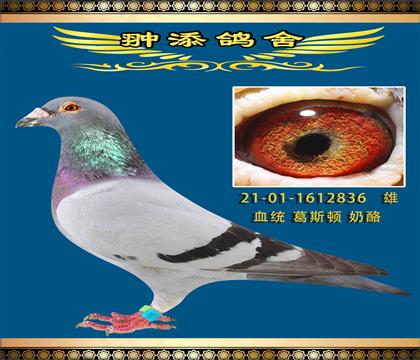 ߂836