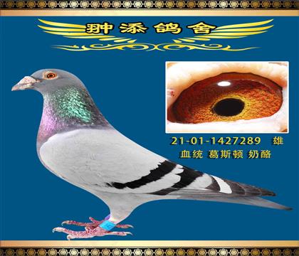 ߂Ҵ289