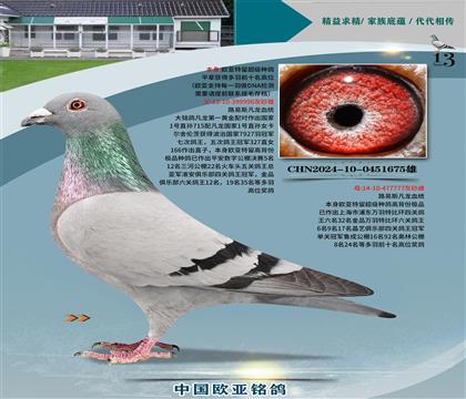·˹996X777һS䌦(du)
