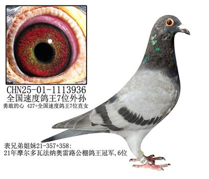 ȫٶ7λO-11
