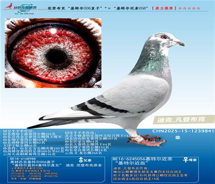 ǲˡؠ006ֱӡؠH056