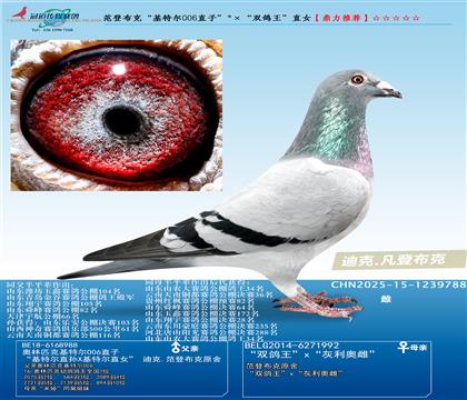 ǲˡؠ006ֱӡpֱŮ
