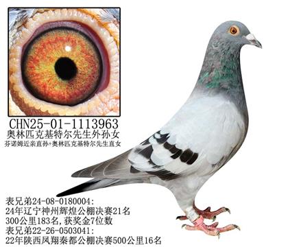 Wƥ˻ؠOŮ-19