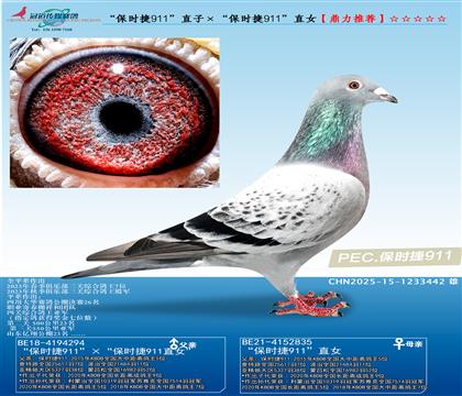 ]r911ֱӡr911ֱŮ