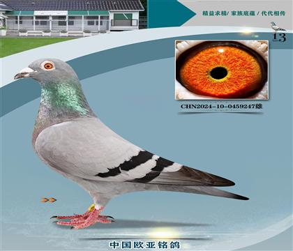 wȷ¼{ԭᡰ_ܚWX׸̖359