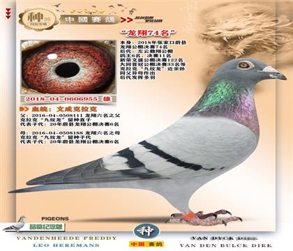 14-+蹫74+(jng)