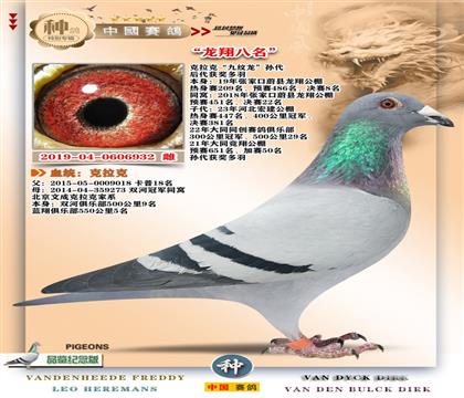 18-ĳɿ+蹫8