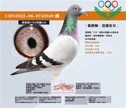 ̖(ho)ֱŮ< 240>