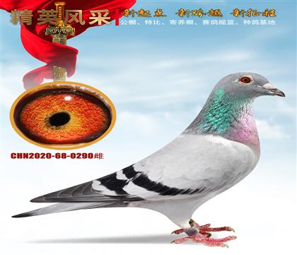 Ҽ̖ҡ