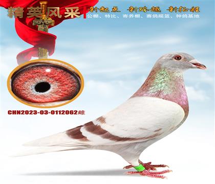 ѻؠǲ