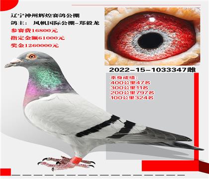 L(fng)(gu)H- xxِ