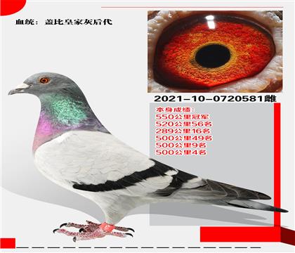wȻʼһѪϵ  ɿ(j)550܊
