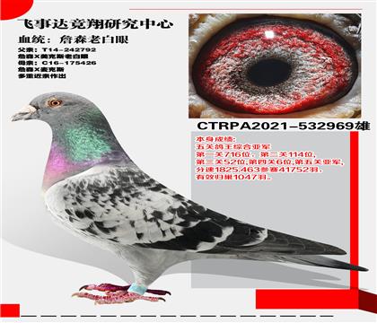 _(ti)w_(d)(jng)оġղɭϰۡ