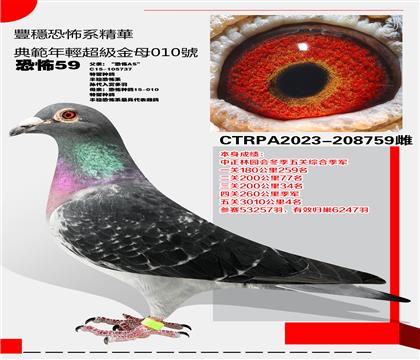 _(ti)ֲϵֲ59 @P(gun)Cϼ܊