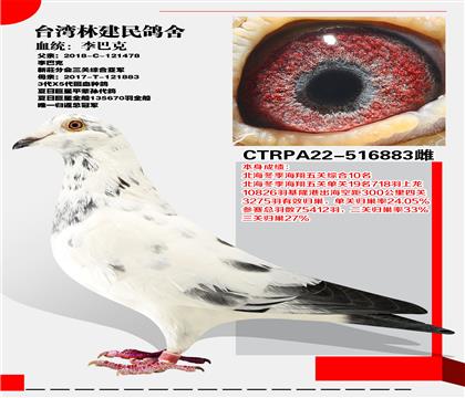 _(ti)ֽᡰͿˡ