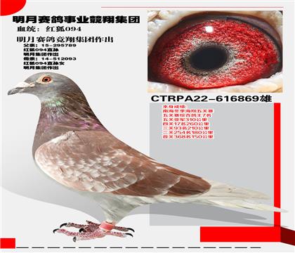 _(ti)ِ(jng)輯F(tun) t094