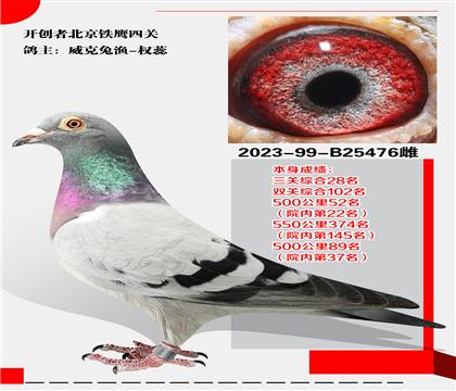 ÝO-(qun)xͱ_(chung)  P(gun)C28