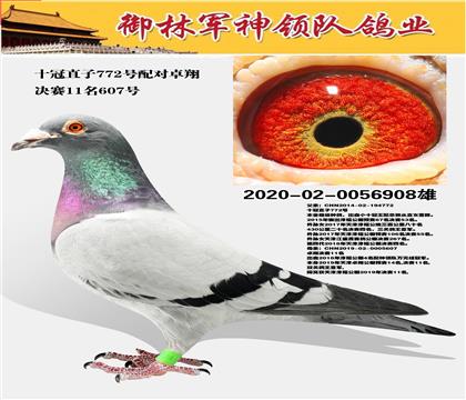 ܊I(lng)(du)ʮ772̖(ho)X׿Qِ11