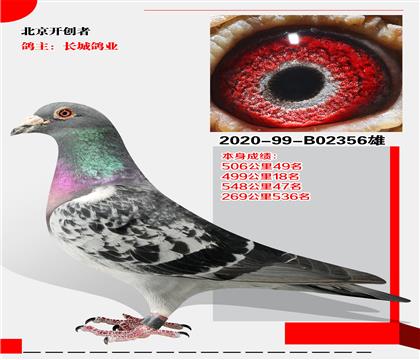 L(zhng)I(y)xͱ_(chung)  50649