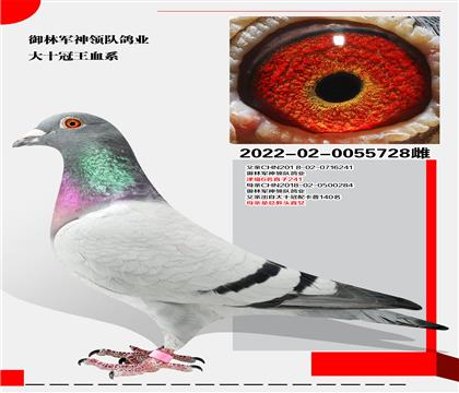 ܊I(lng)(du)ʮѪϵ