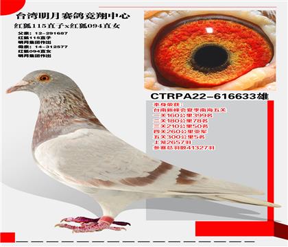 _(ti)ِ(jng)ġtѪϵ