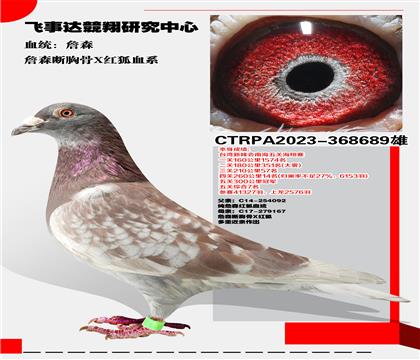 _(ti)w_(d)(jng)оġղɭعXtѪϵ