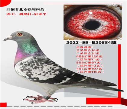 W܎-܎ƽ xͱ_(ki)(chung)FP(gun)