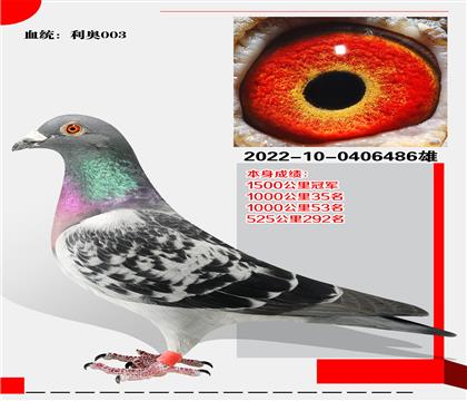 W003Ѫϵ ɿ(j)1500܊