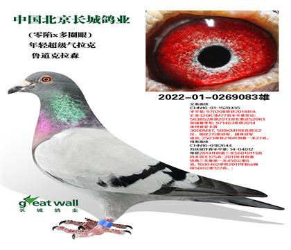 L(zhng)I(y)ȱXȦۡ