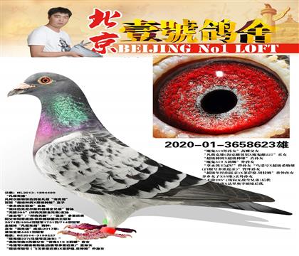 Ҽ̖(ho)