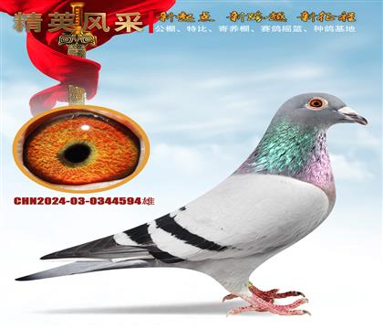 ʯ피ɣʿ