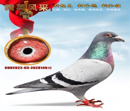 츣T