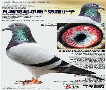  ᠖˹ X С