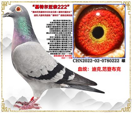 c(din)]Ͽ˷ǲˡؠ006ȫֵܡؠֱOŮ