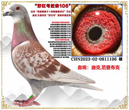 c(din)]Ͽ˷ǲˡֱX(ju)ֱOŮHѪ