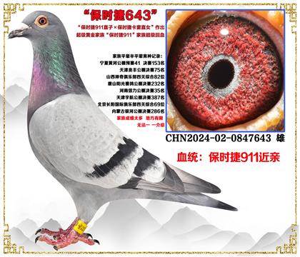 r(sh)911ֱX(ju)r(sh)911ȫֱֵŮHѪ