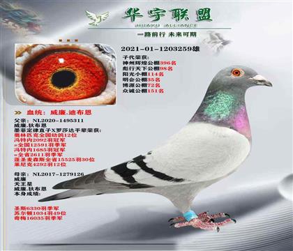 墨菲定律直子X(jué)天王星直女 超強(qiáng)溶血