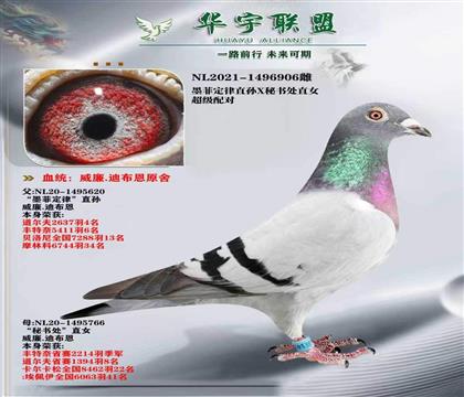 超級(jí)推薦 威廉迪布恩原舍 墨菲定律直孫X秘書(shū)處直女 超強(qiáng)溶血