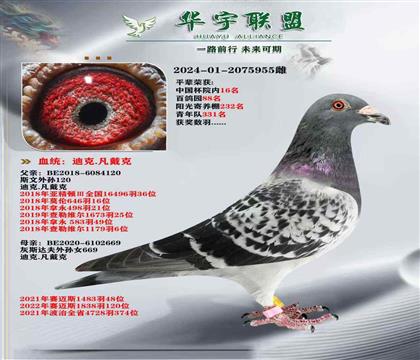 迪克范戴克 所向無(wú)敵
