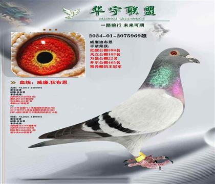 墨菲定律直子X(jué)墨菲定律直女 超強(qiáng)溶血