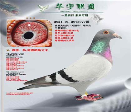 墨菲定律無(wú)限號(hào)外孫