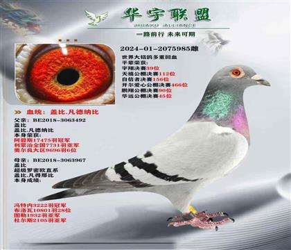 蓋比新閃電號(hào)直子X(jué)超級(jí)羅密歐直女